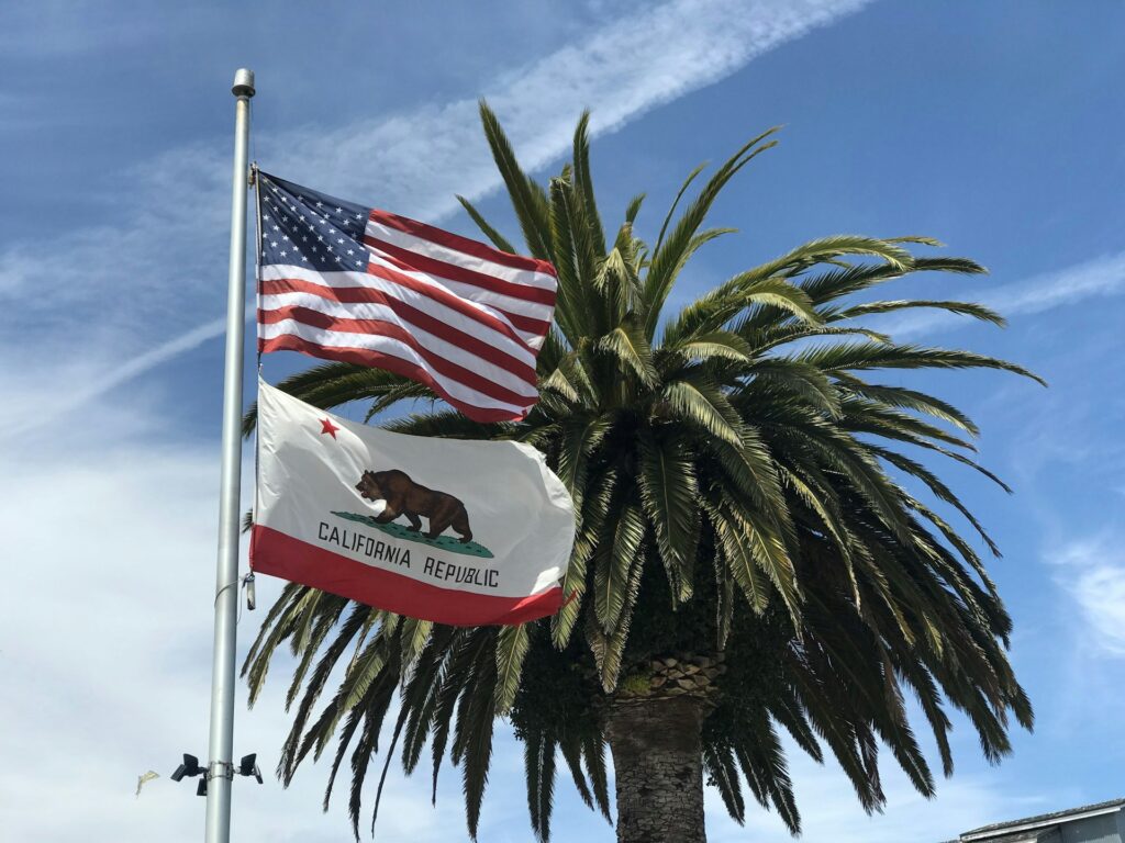 The California and and United States flags flying in front of a palm tree in Monterey, CA.